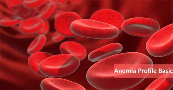 Best Anemia Profile Test